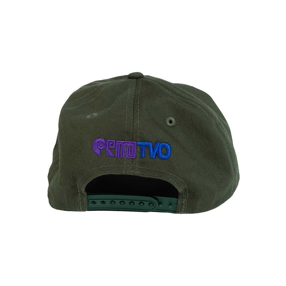 'Earth Punk' Snapback Cap