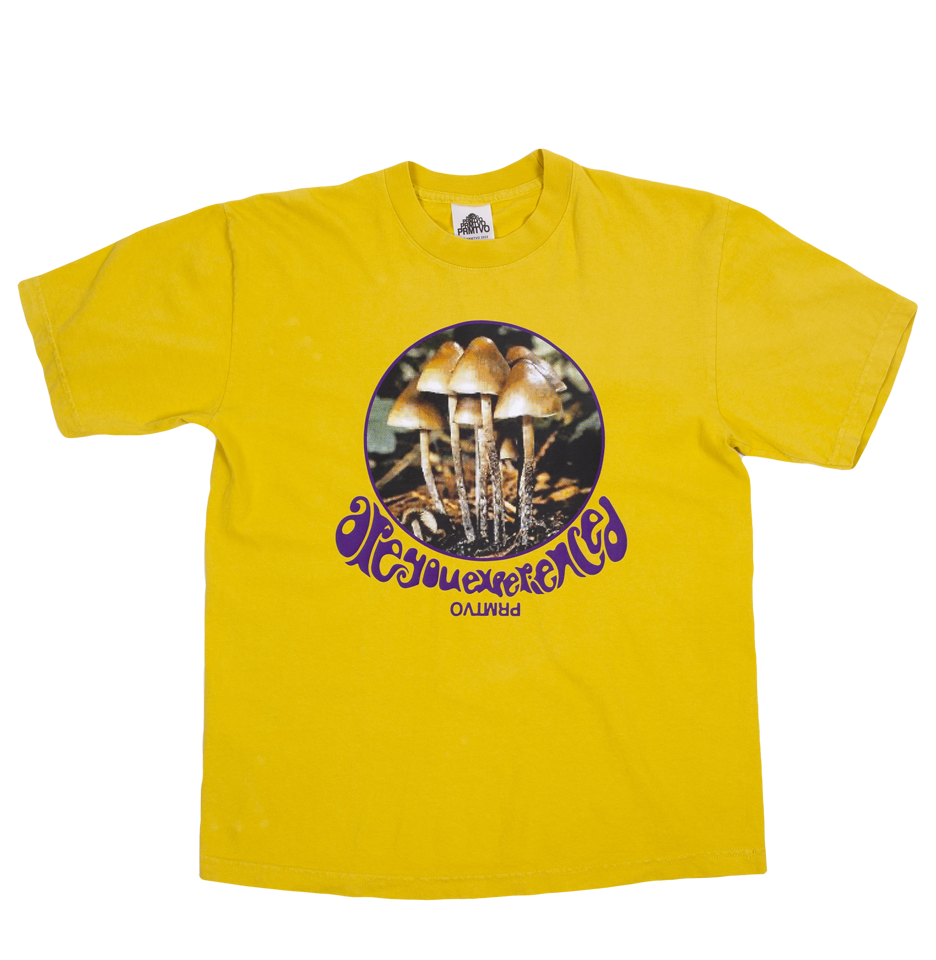 'ARE YOU EXPERIENCED?' TEE