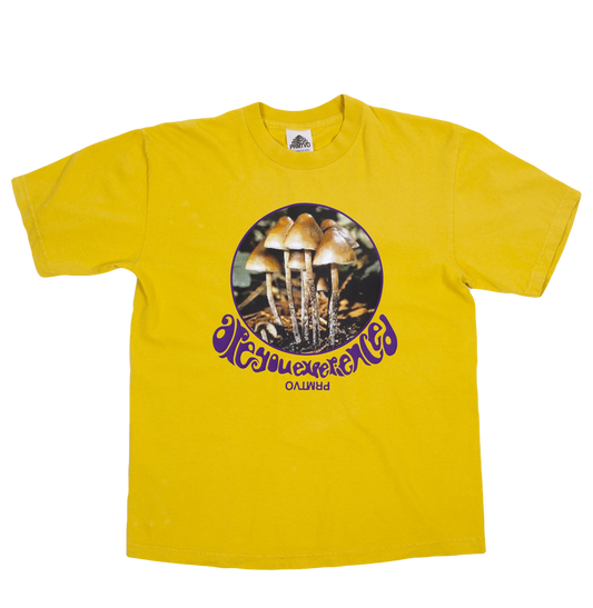 'ARE YOU EXPERIENCED?' TEE